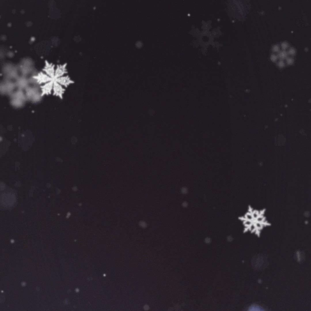 大明星金牌设计师