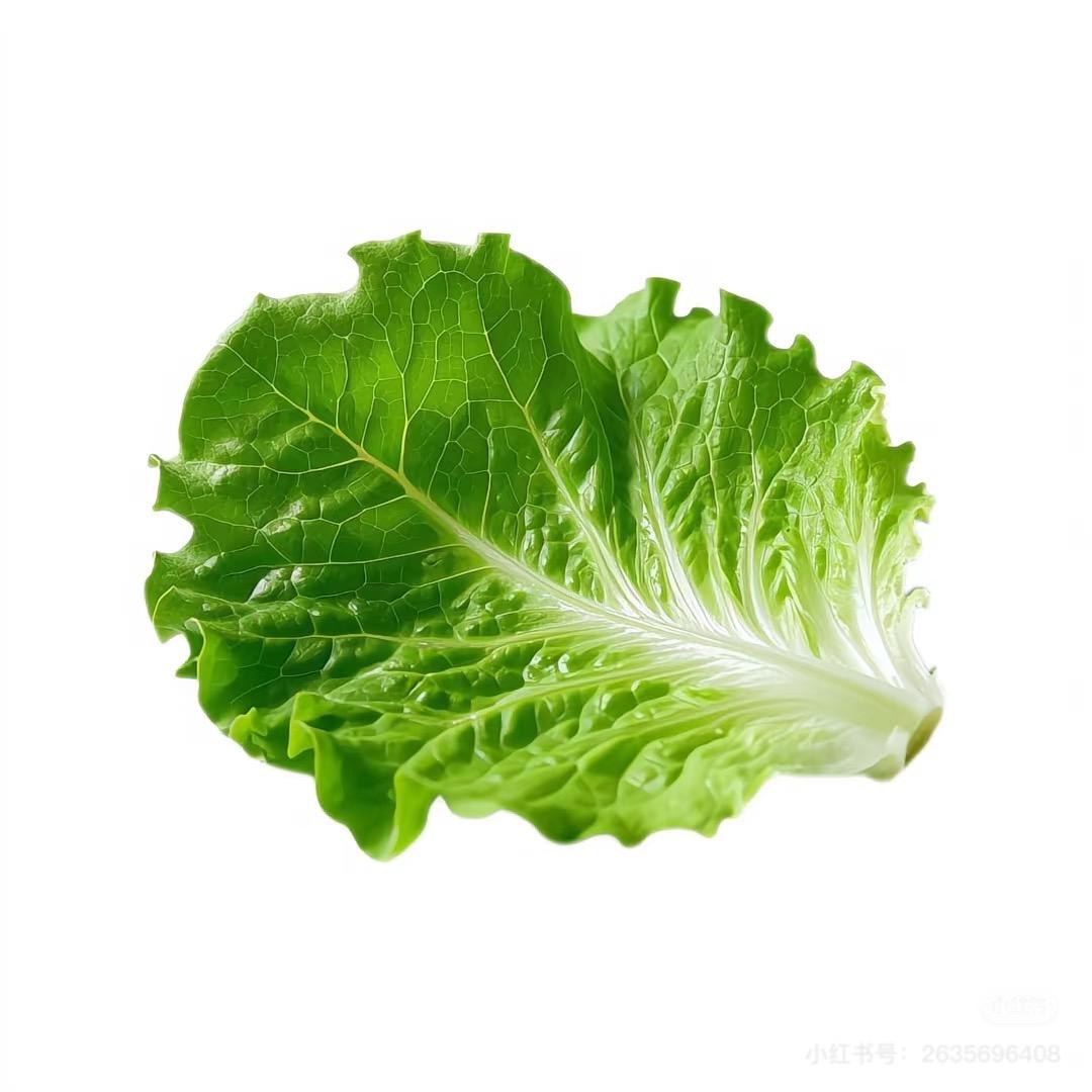 生菜爱吃西兰花