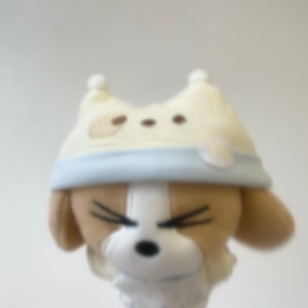 谁偷了我的橙子🍊