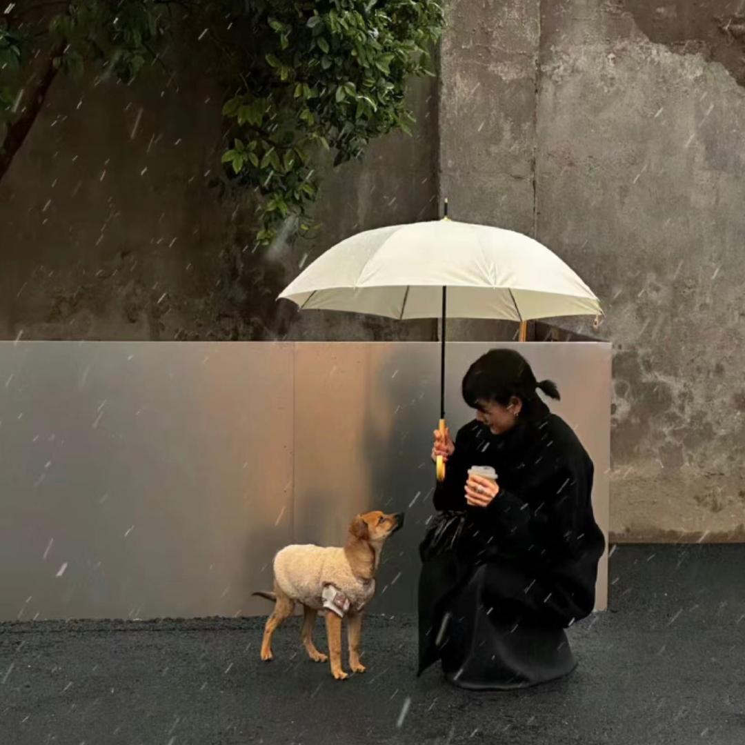 小姬快快瘦