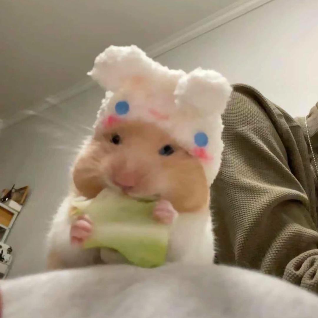 🥚^_^🥚～