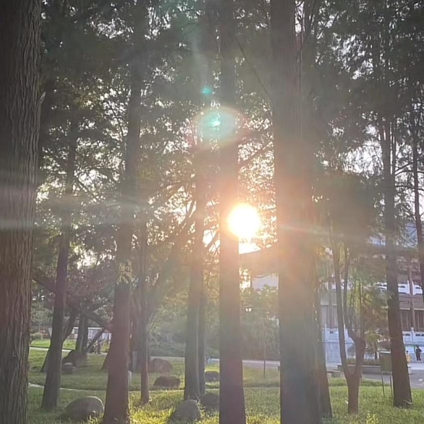 雪小可
