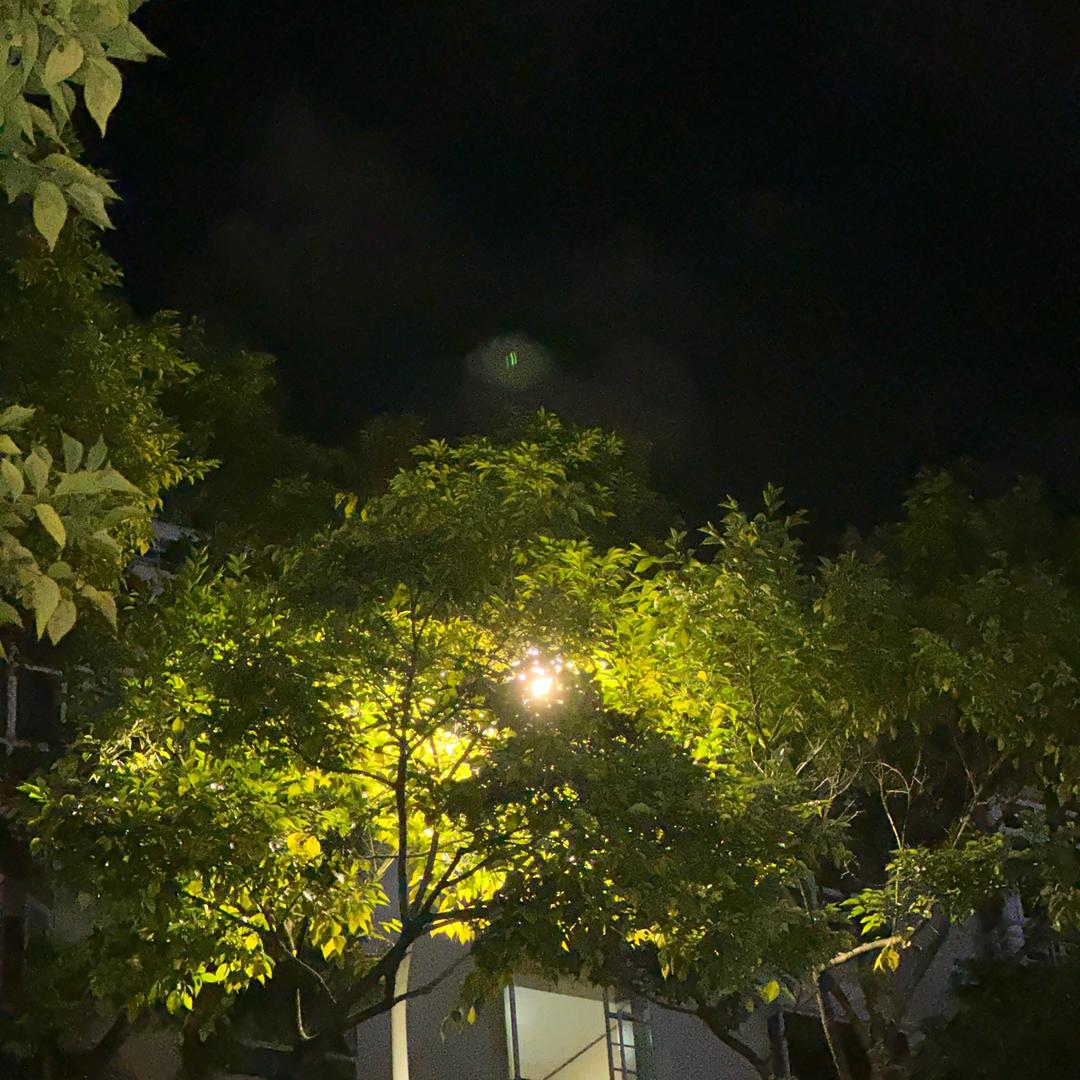 Cc小楚（汽车租赁 数码产品）