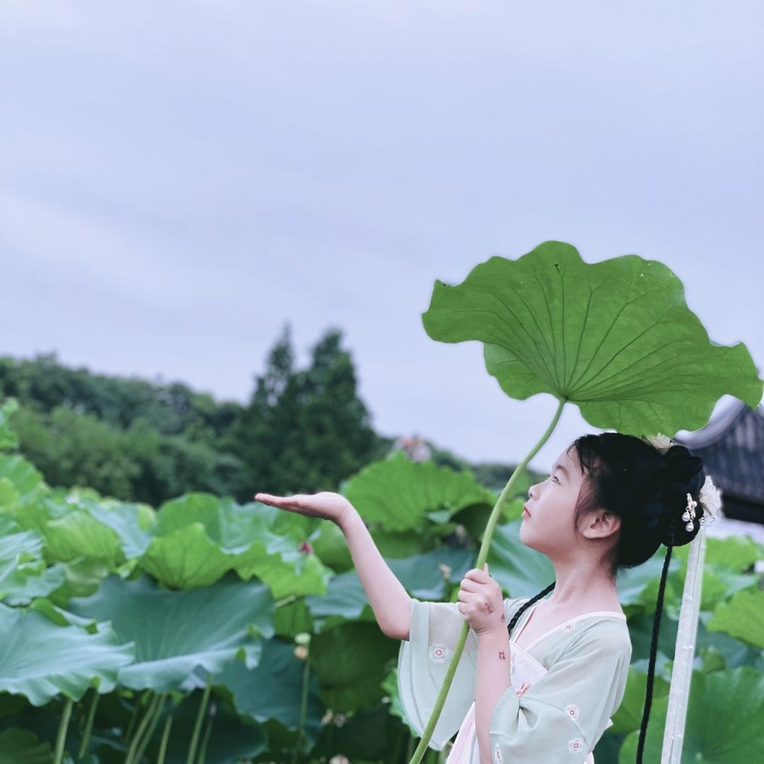 安宝的学习日记