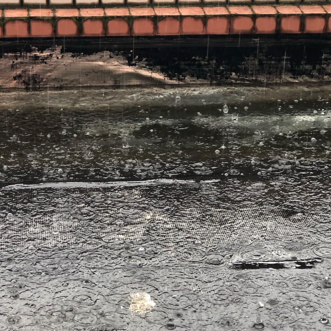 勇拓眼镜(眼耳鼻咽喉医院店)官方号