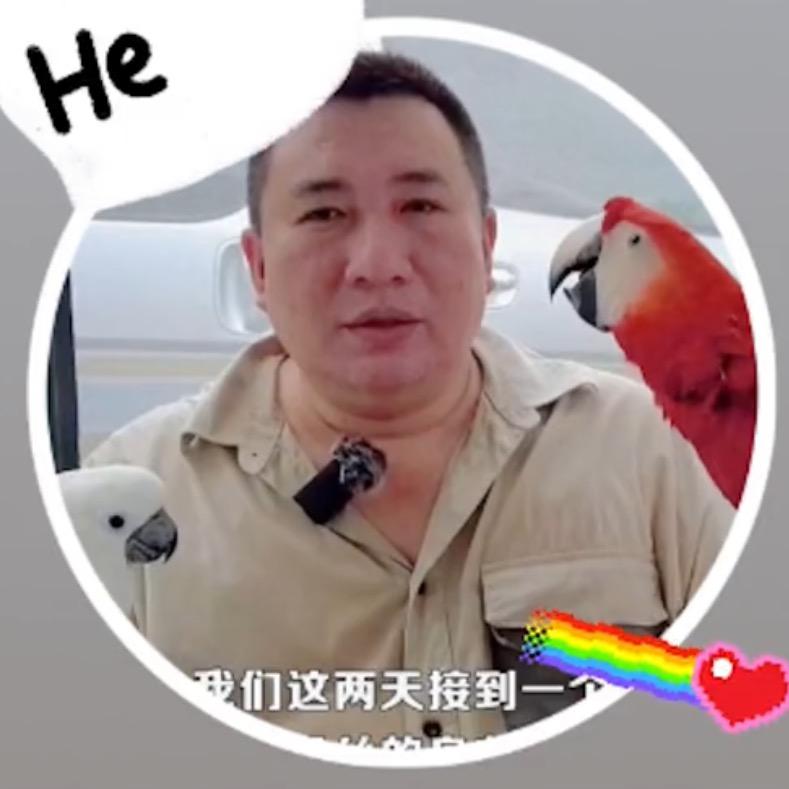 紫蓝鹦鹉用品