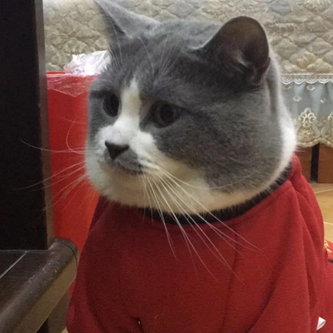 张小姐+鱼