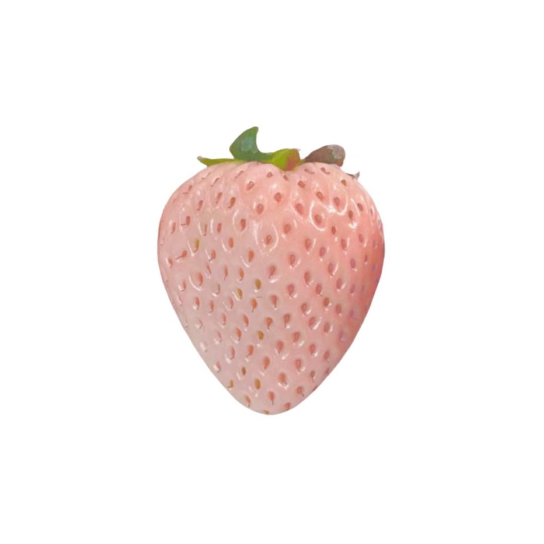 士多啤梨u_u