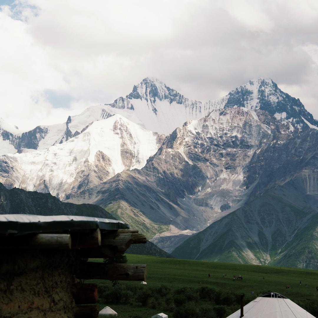 爱喝柠檬茶（摄影版）📸