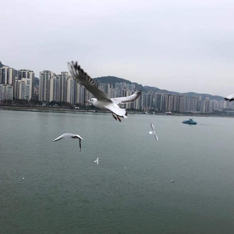 刘学豪