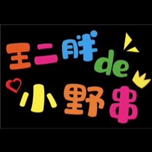 🍢王二胖🥓