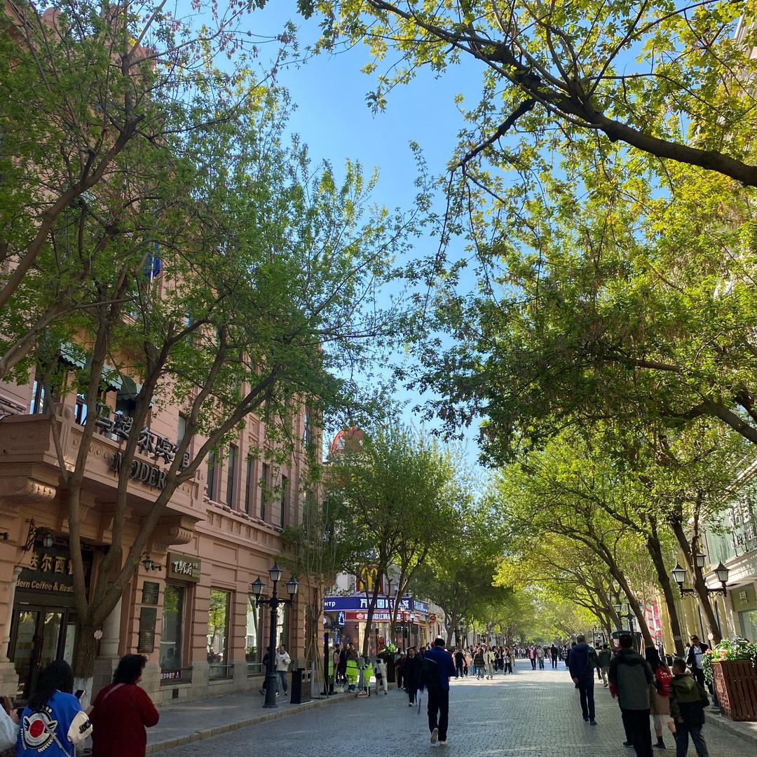 哈尔滨去哪玩儿