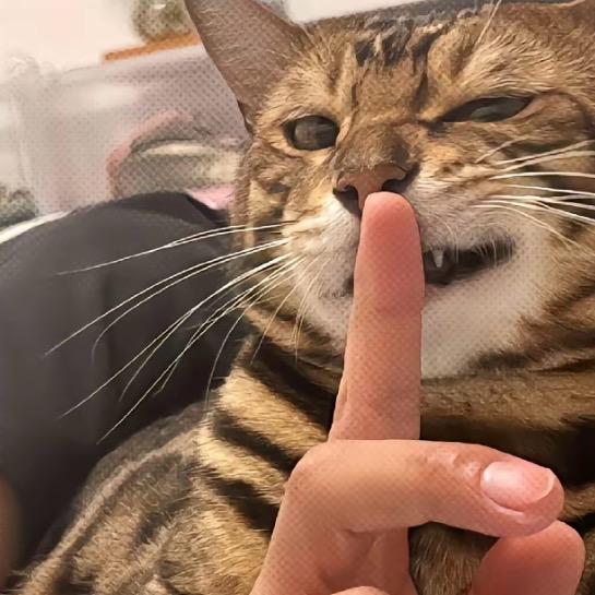 luo仙身