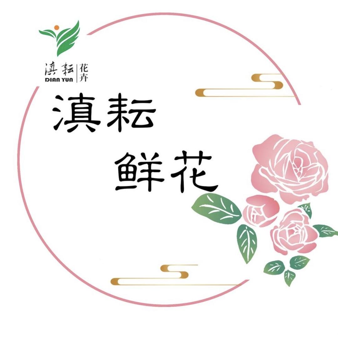 滇耘花卉鲜切花