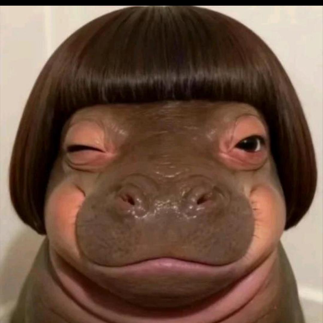 瑶瑶1