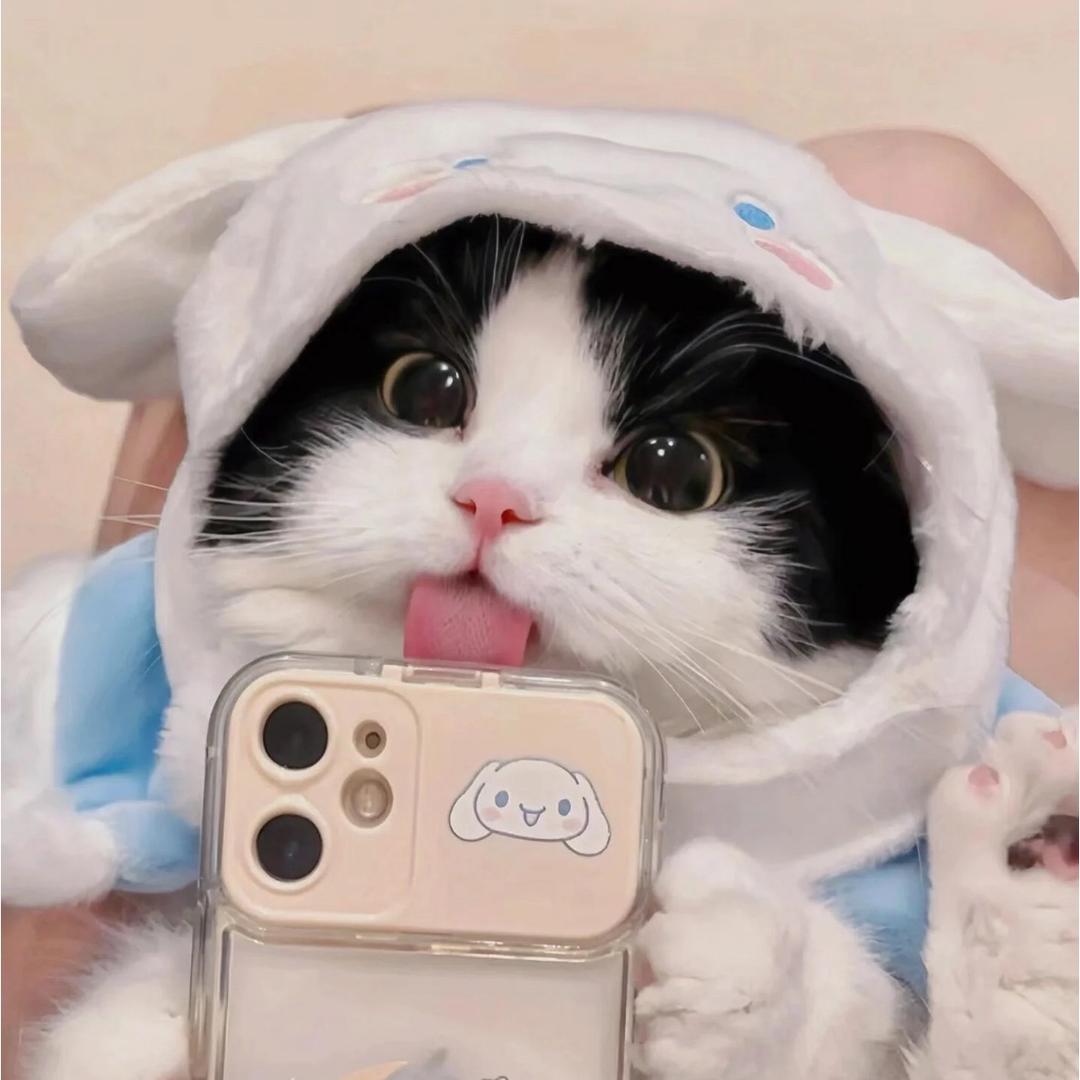 小爪乐园🎡（新号开播)