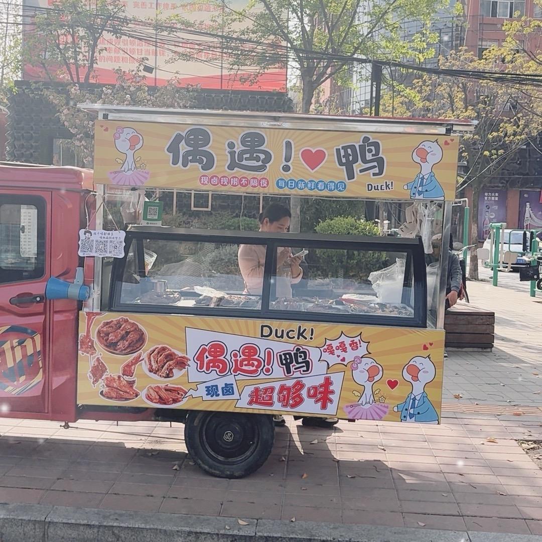 固始偶遇鸭