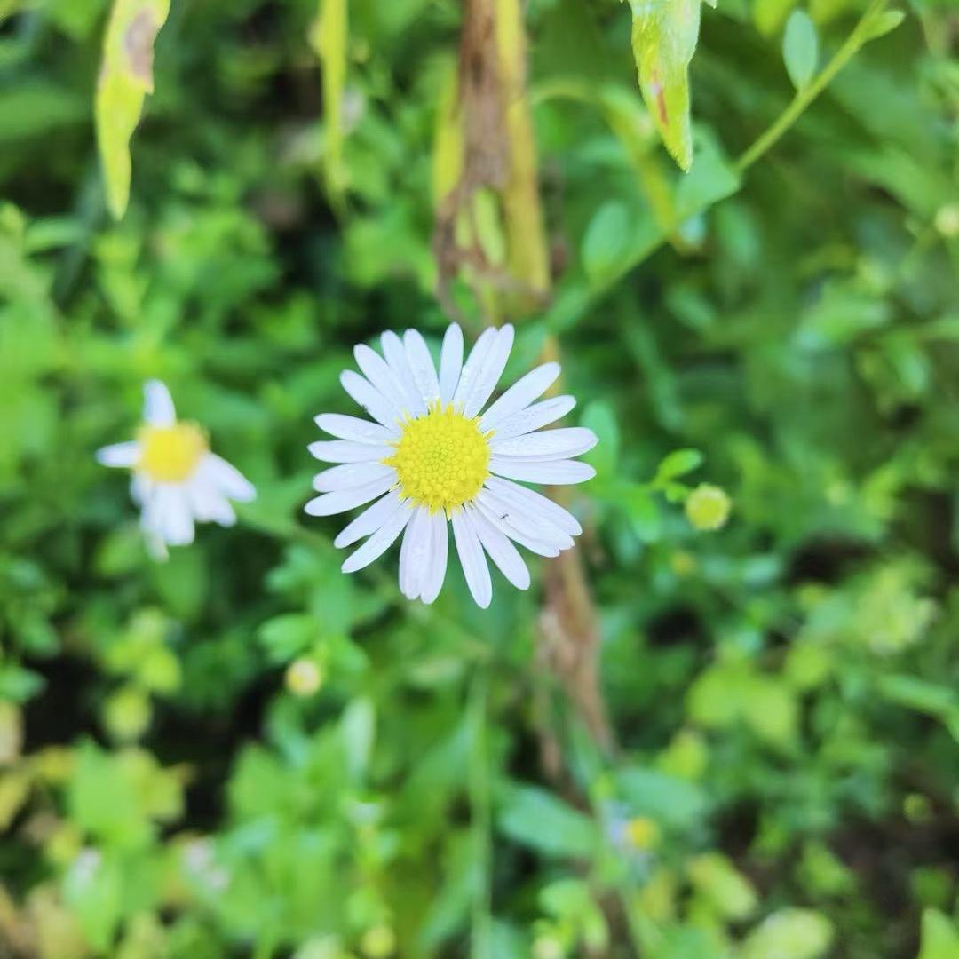 ℍ𝕖𝕝𝕝𝕠🌿
