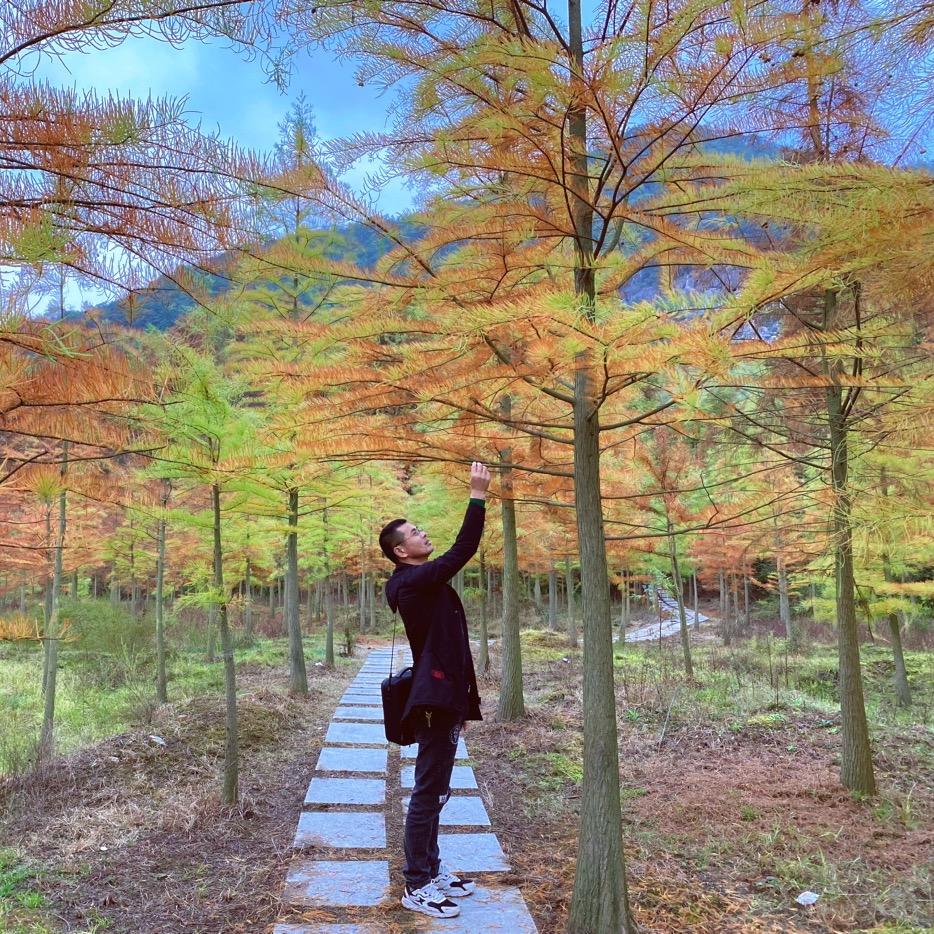 小项📸周边游