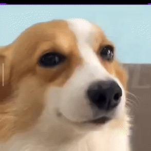 ？坤之大，一锅炖不下