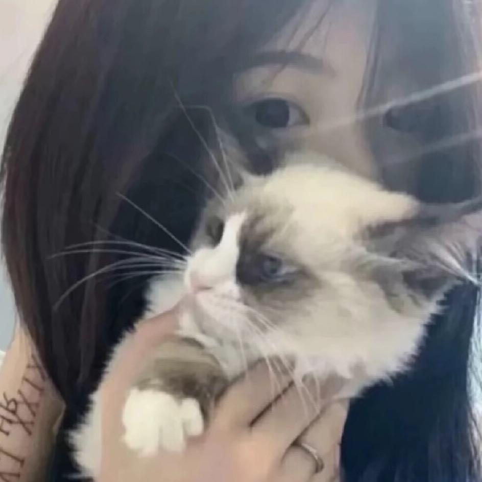 『の皖葵.🌷悸姩』