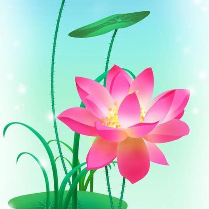 禅