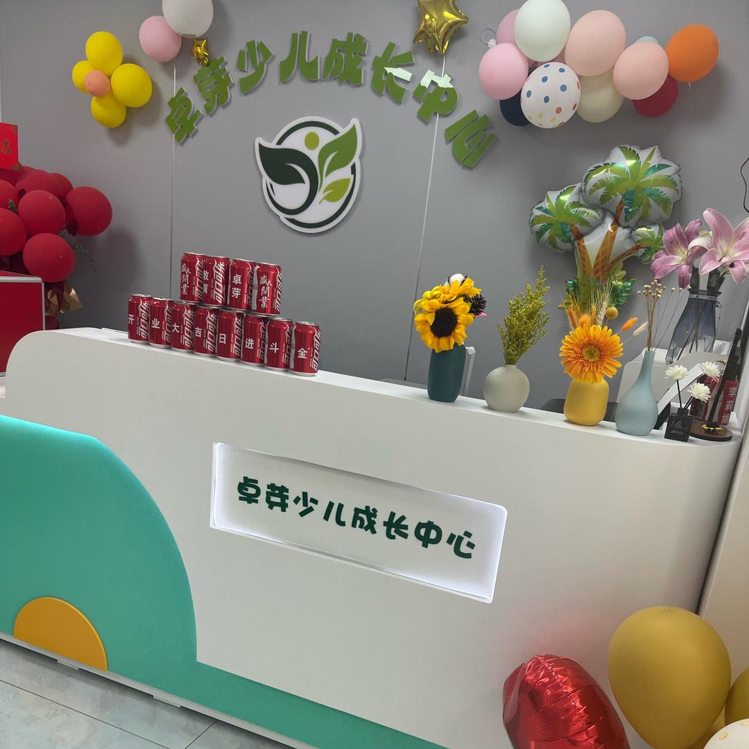 卓芽少儿编程