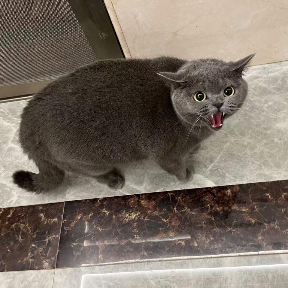 水清姨（🐟）靓
