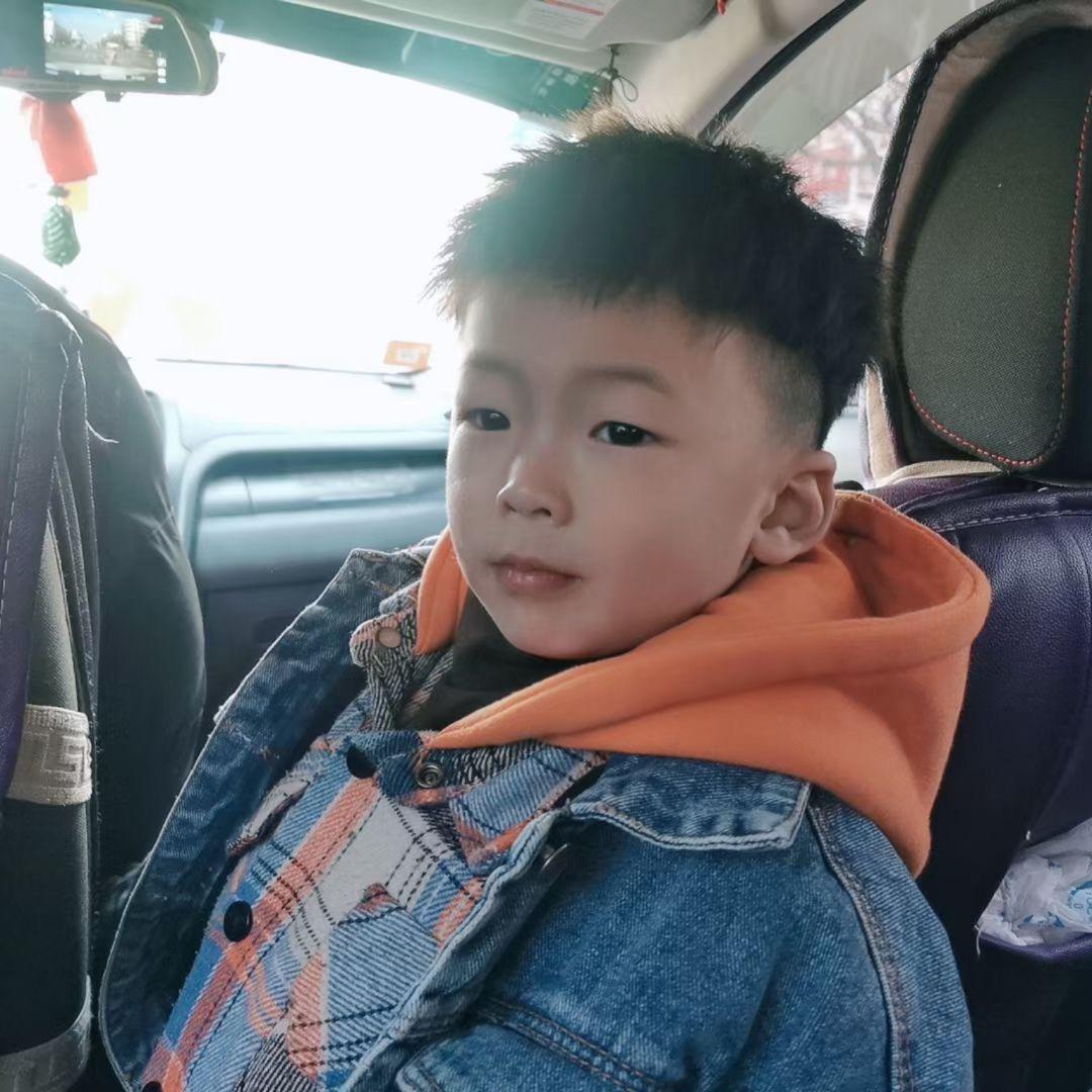 A王振 鹿邑喜老胖武汉黑鸭煲（犹龙居店）