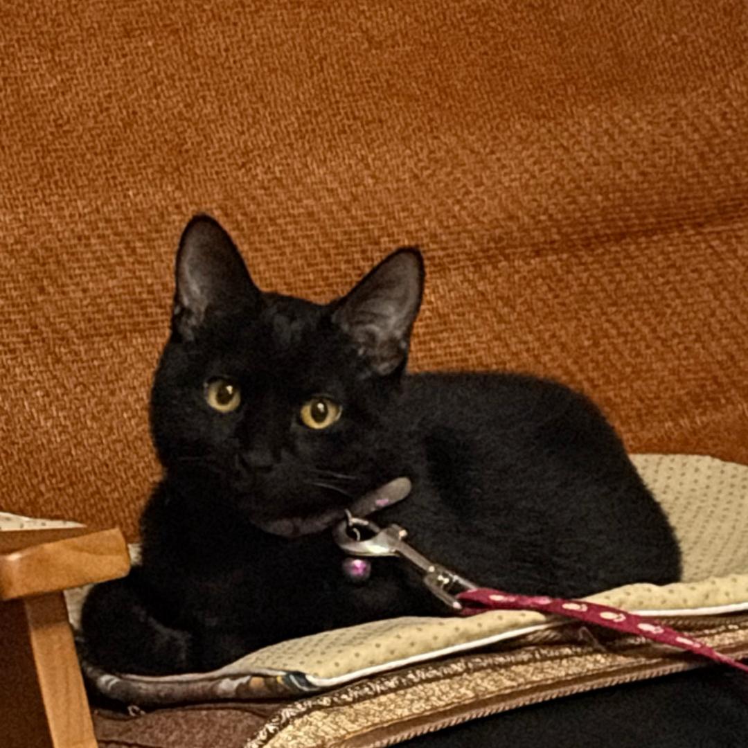 108 not found🫣🤭