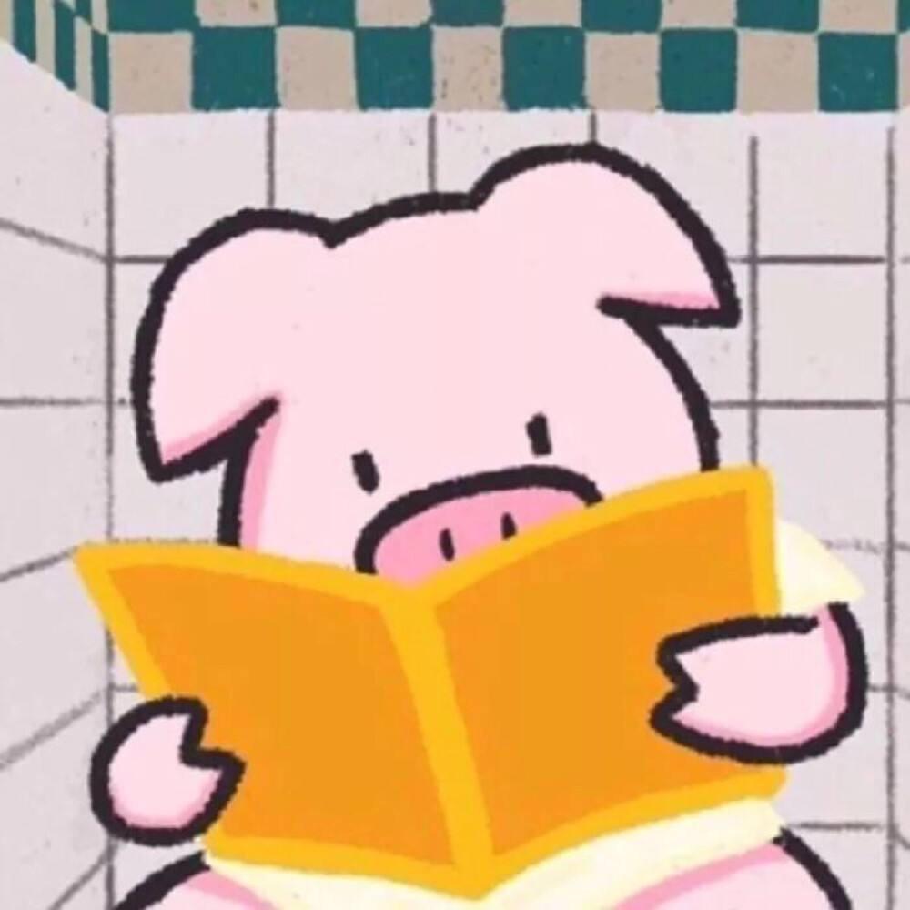 小猪好物.