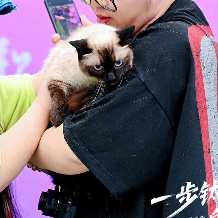 我是一只招财猫🐱