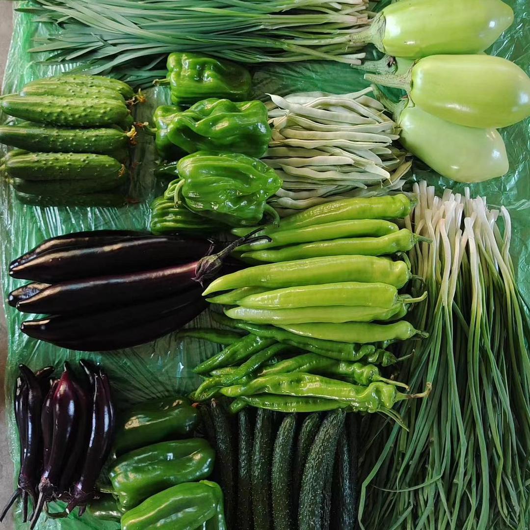 娜么鲜新鲜蔬菜