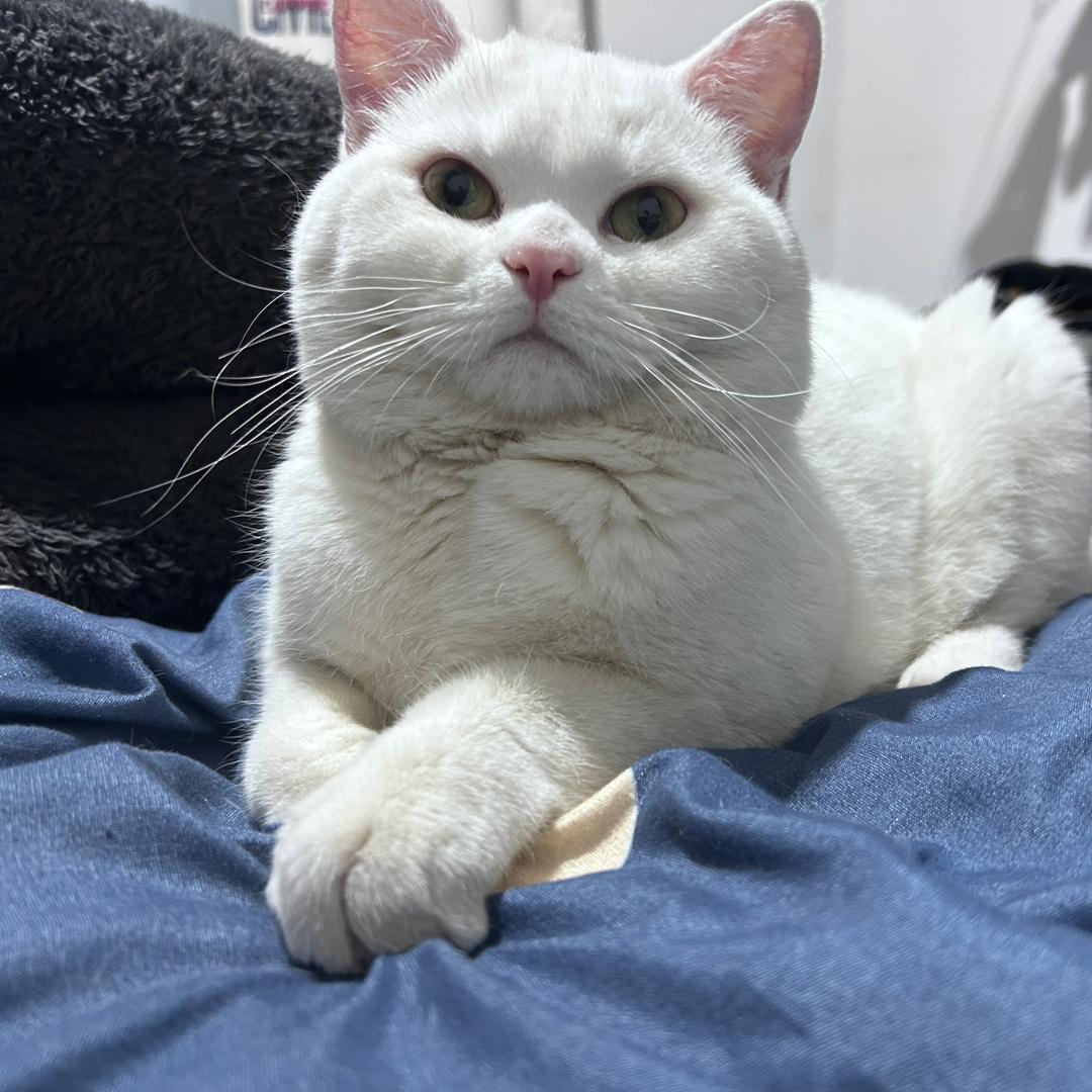 钱多多👨🏻‍🍳