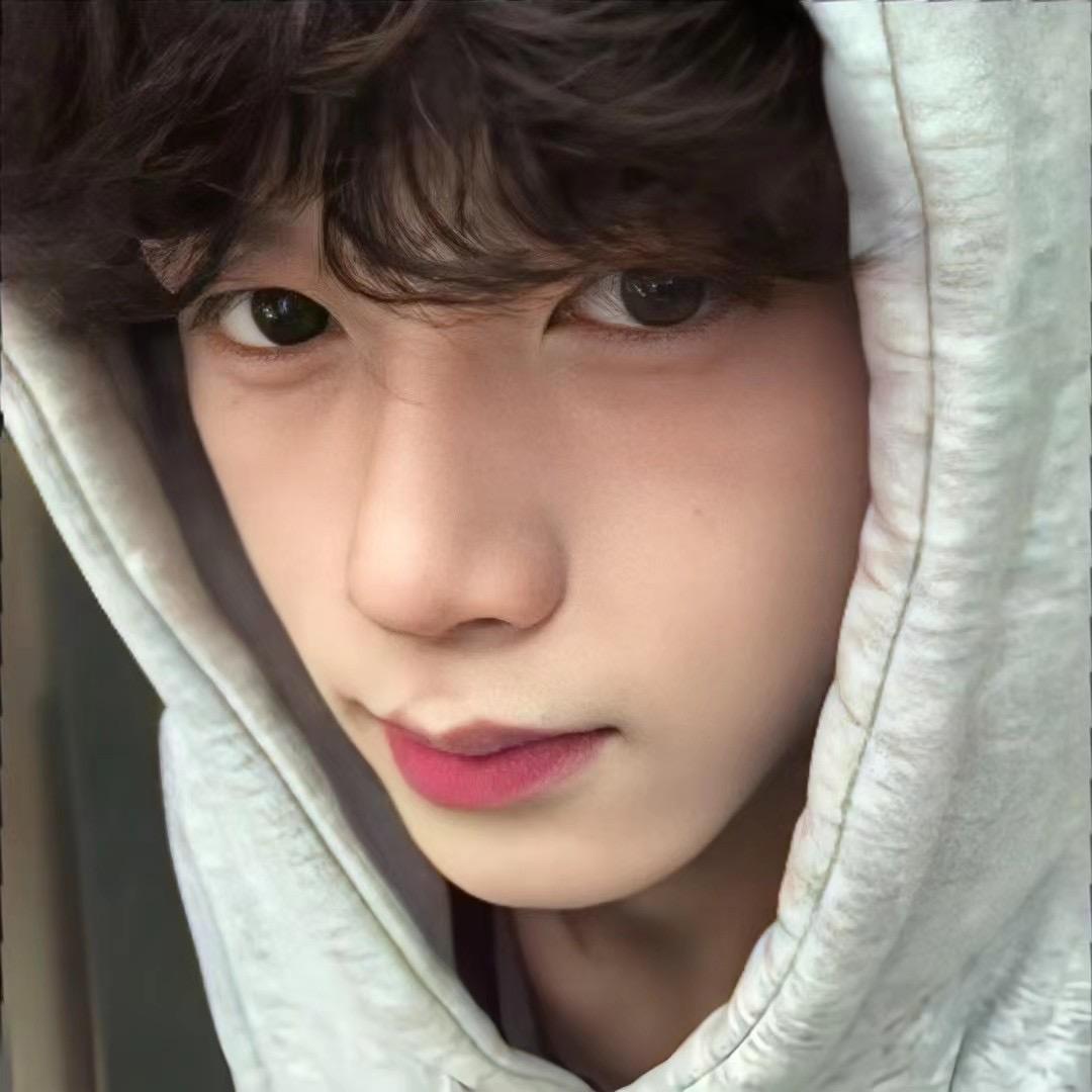 我是一只小奶猪