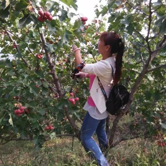 （永远的思念…）