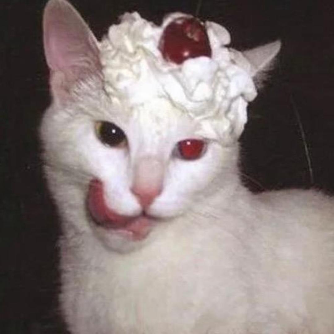 十一