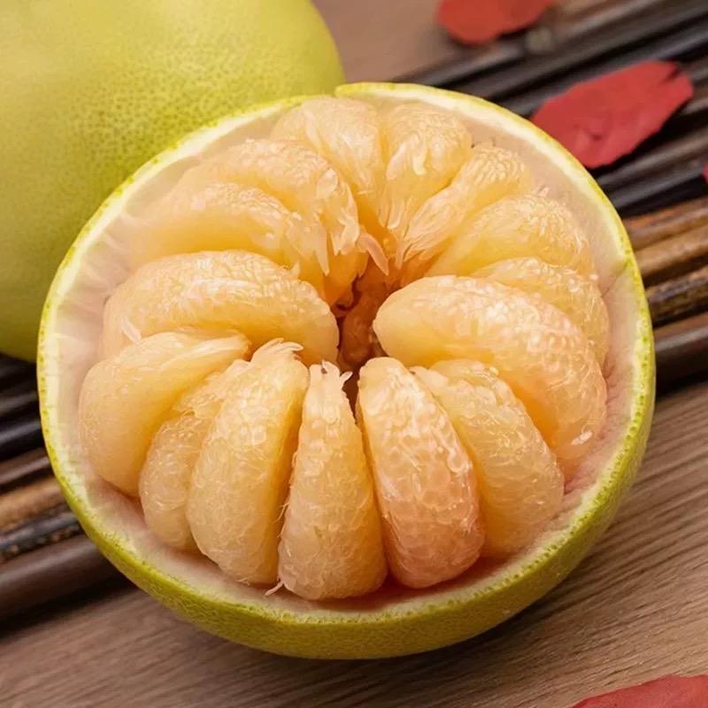 大鱼度尾文旦柚