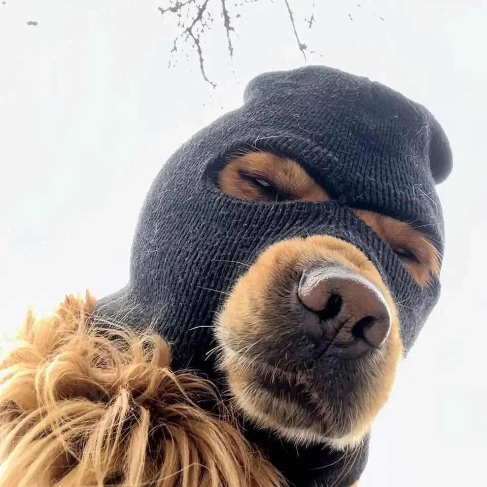 比奇堡突击手（三角洲行动）