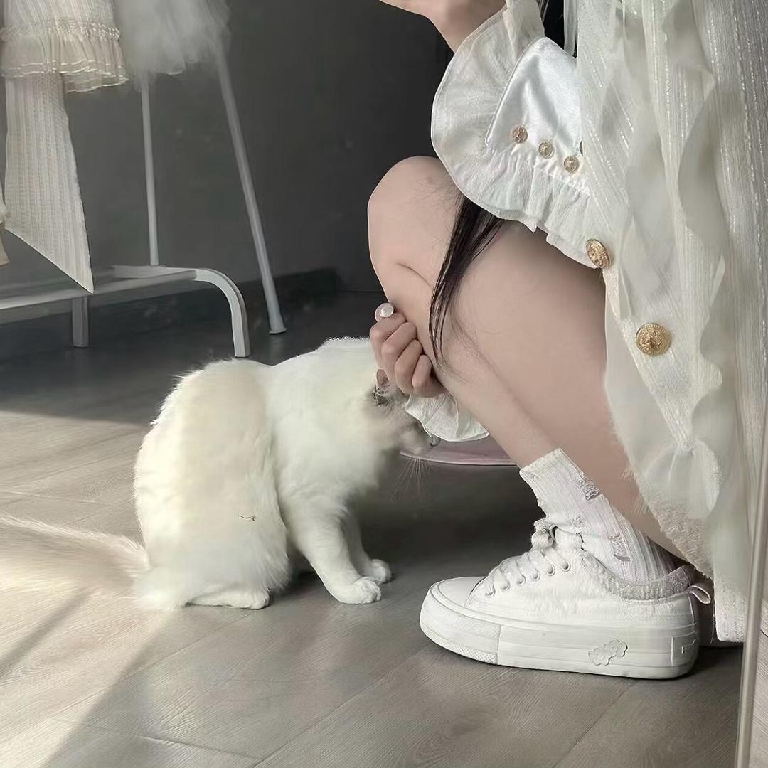 超会放电ᴾᵃᴾᵃ