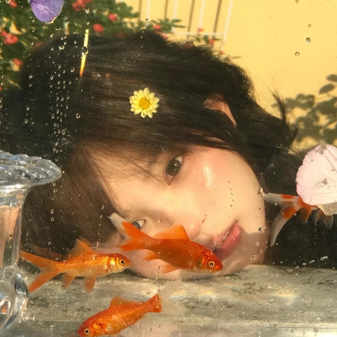 ⸝ဗီူ⸜派大鑫·鑫/•᷅•᷄\੭