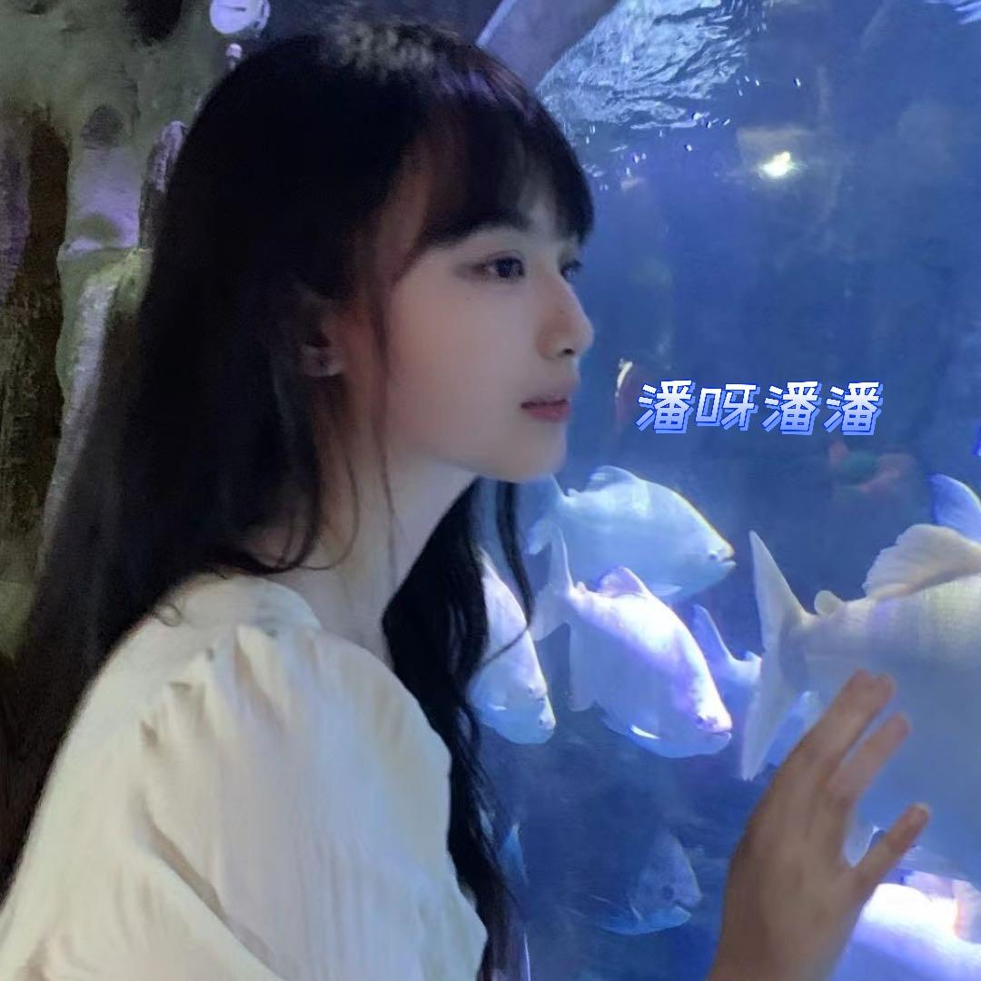 摄影师潘呀潘潘