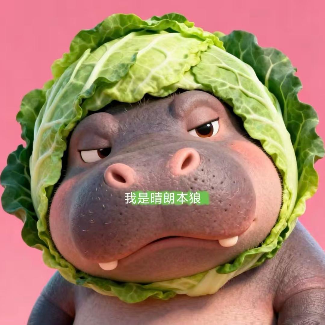 嘉年华🐳