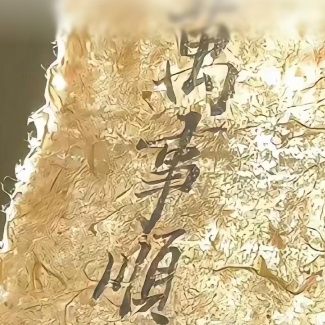 明天会更好