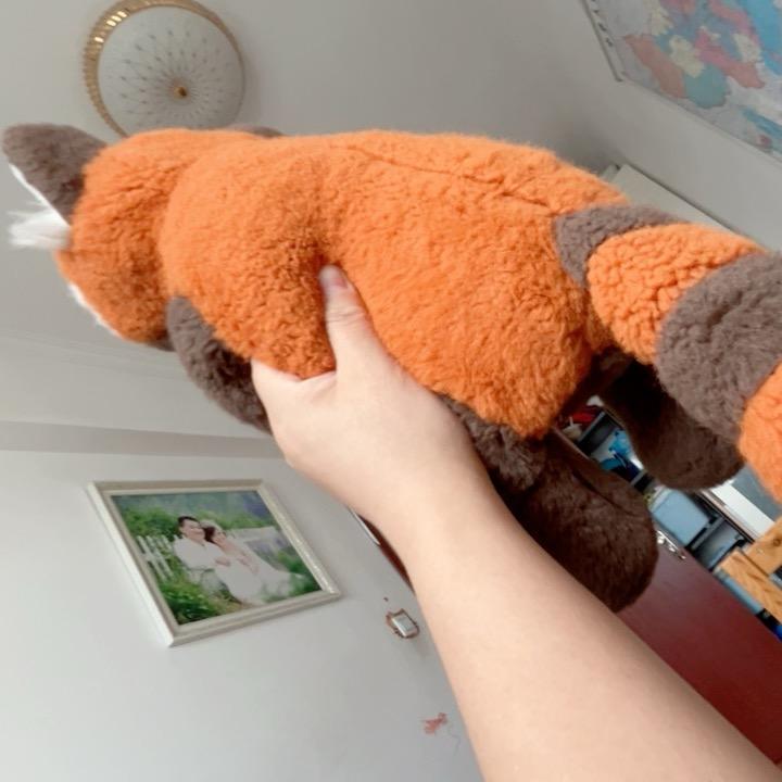 与梦同行