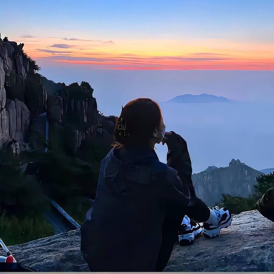 杨小羊