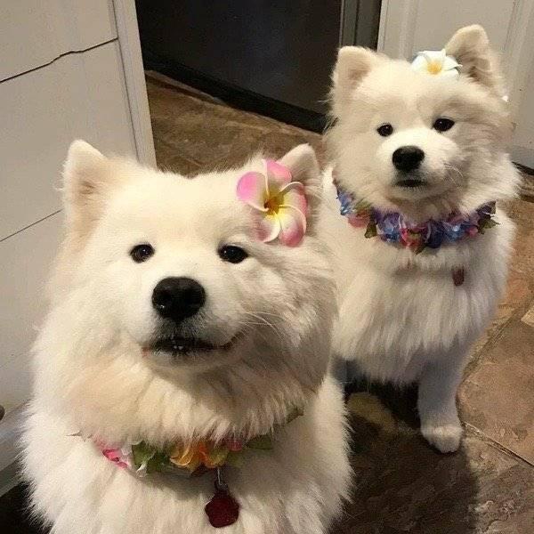 OK很ok啦