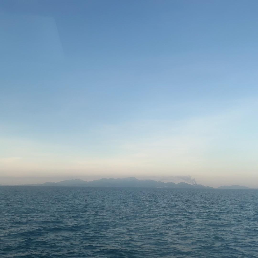 榮：黃沙蜆，新鮮禾虫批发