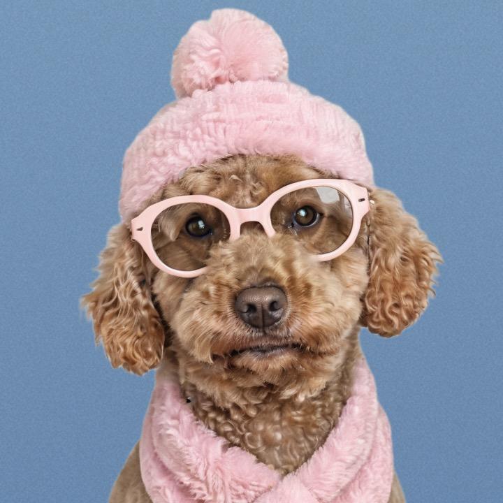 如意如意如我心意