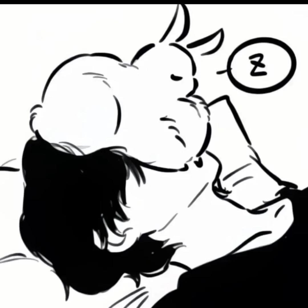 睡眠羊💤